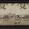Scene with cannons.