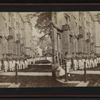 Scenes at West Point and vicinity