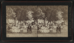 Scenes at West Point and vicinity