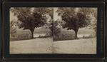 Scenes at West Point and vicinity