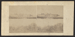 Newtown Creek, Long Island.