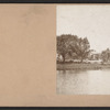 View of trees.