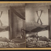 Presbyterian church, Sag-Harbor [Sag Harbor], N. Y. Funeral obsequies of President Garfield, September 19th, 1881.
