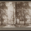 View of trees and house.