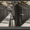 Conveyor with trays of loaf sugar received from drying kiln, New York.