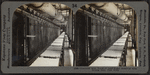 Conveyor with trays of loaf sugar received from drying kiln, New York.