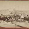 Oxen on dock.