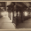 N.Y. entrance of New York & Brooklyn bridge.