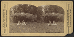 View in Prospect Park.