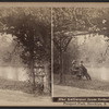 The Lullwater from Nethermead Circuit, Prospect Park, Brooklyn, N.Y.