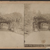 Rustic Arbor, Prospect Park, Brooklyn, N.Y.