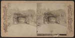 Rustic Arbor, Prospect Park, Brooklyn, N.Y.