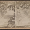 View near Dairy Cottage, Prospect Park, Brooklyn, N.Y.