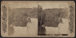 The Playground Pool, Prospect Park, Brooklyn, N.Y.