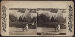 The lake from Breeze Hill, Prospect Park, Brooklyn, N.Y.