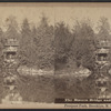 The Binnen Bridge and Cascade, Prospect Park, Brooklyn, N.Y.