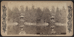 The Binnen Bridge and Cascade, Prospect Park, Brooklyn, N.Y.