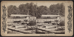 Boat landing, Prospect Park, Brooklyn, N.Y.