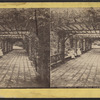 Rustic Arbor, Prospect Park, N.Y.