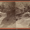 Steps leading to the Dary [Dairy], Prospect Park, Brooklyn.