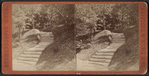 Steps leading to the Dary [Dairy], Prospect Park, Brooklyn.