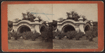 Meadow Port Arches.