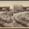 View in Prospect Park, Brooklyn, N.Y.