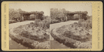 View in Prospect Park, Brooklyn, N.Y.