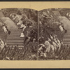View in Prospect Park.