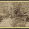 Prospect Park.