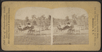 View in Prospect Park.