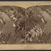 View in Prospect Park.