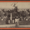 View of South Brooklyn, from near the entrance.