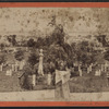 View of South Brooklyn, from near the entrance.