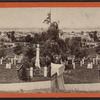 View of South Brooklyn, from near the entrance.