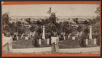 View of South Brooklyn, from near the entrance.