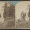 View in Greenwood Cemetery, N.Y.