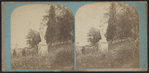 View in Greenwood Cemetery, N.Y.