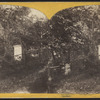 Greenwood Cemetery.