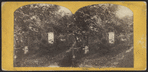 Greenwood Cemetery.