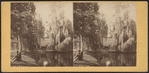 Man resting under a tree near the lake, Greenwood Cemetery.
