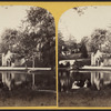 Arbor Water and Receiving tomb.