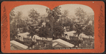 View south from Ocean Hill, Greenwood.