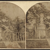 View in Greenwood Cemetery.
