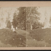 Greenwood Cemetery.