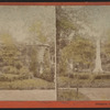Glimpses in Greenwood Cemetery.