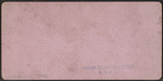 Glimpses in Greenwood Cemetery.