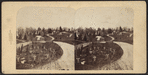 DeWitt Clinton's, Greenwood.