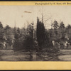 View in Greenwood Cemetery.