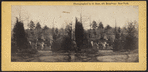 View in Greenwood Cemetery.